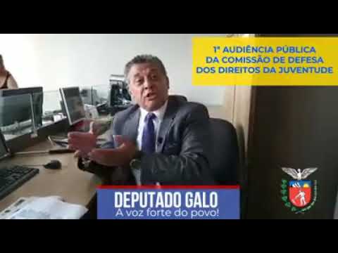 COMISSÃO DE DEFESA DOS DIREITOS DA JUVENTUDE - DEPUTADO GALO