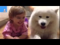 Watch Very Funny Videos Funny Clean Jokes One Liners Video Clips Comedy Punjabi Funny Video Clips