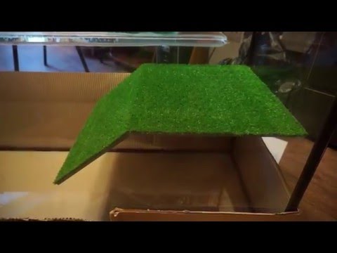 Островок для красноухой черепахи своими руками Островок для красноухой черепахи своими руками