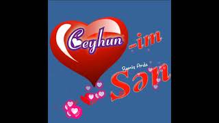 Ramiq Arda Ceyhun Adına Video