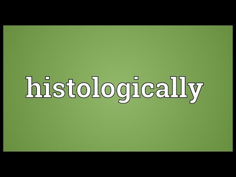 Header of histologically