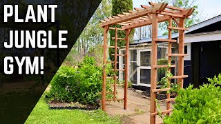 Simple Diy Wooden Garden Arbor Redwood Trellis
