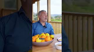 Bodrumda Güneş Enerjisi Ile Isınmak