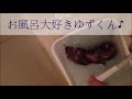 日本製マイクロナノバブル！アリアミストぼリーナ実演中！