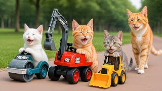 Mama Cat Trims Fur On The Farm And Makes Tiger Hat For Kittens At Home