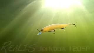 Duo Realis Jerkbait 120 Sp