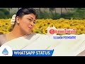 Ullaasa Poongatre Whatsapp Status Song | Kolangal Movie Songs | Jayaram | Khusboo | Ilaiyaraaja