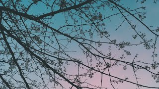 Drifts - A Sleep Playlist From Teen Daze
