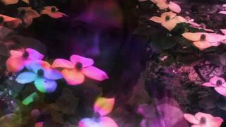 I Saw The Sun - Hannah Telle