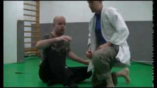 Cheeta martial arts : 3 facons d'appréhender la pratique au sol