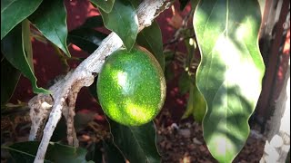 Private video