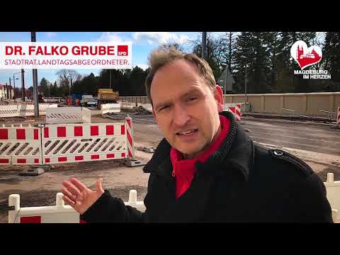 Statement von Falko Grube zu BaumfÃ¤llungen in Magdeburg