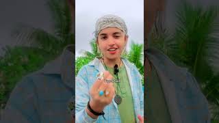 Iran Attack By Pigeon Girl Tiktok