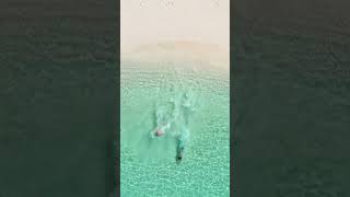 Hes A Smooth Operator Maldives Drone Shot