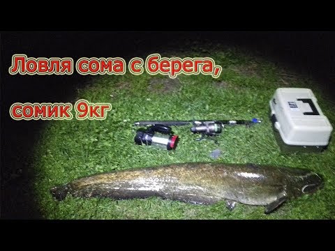 майская ловля сома на майская ловля сома на