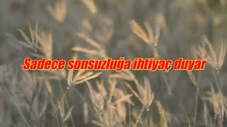 İnfinity Türkçe Çevirisi Guru Josh Project