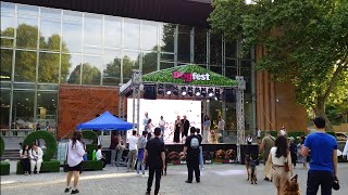 Dog Fest 2025 Armenia Yerevan Snap Bull Terrier