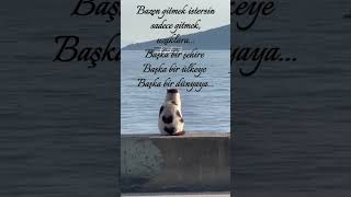 Bazen Gitmek İstersin...