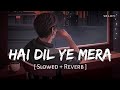 Hai Dil Ye Mera (Slowed + Reverb) | Arijit Singh | Hate Story 2 | SR Lofi