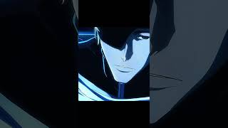 Aizen Kurohitsugi Hado No 99