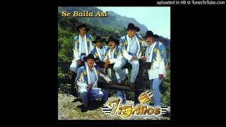 Tigrillos - La Minifalda