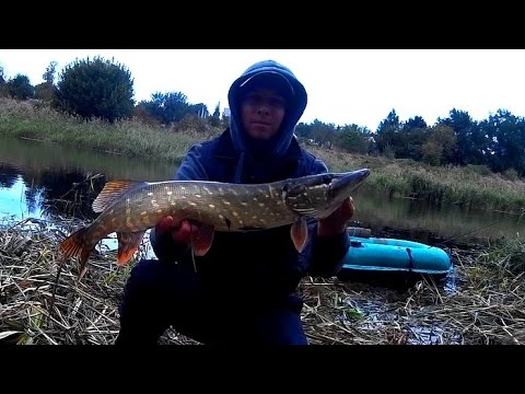 ловля щуки на балисонг видео ловля щуки на балисонг видео