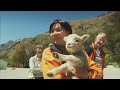 New Zealand (Country)