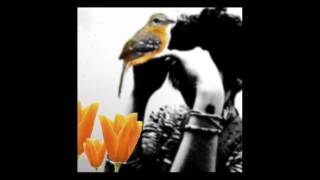 Watch Gregory The Hawk Long Long Commonwealth video
