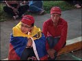 Predicciones