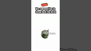 Cat With A Watermelon Throw Brick On My Face Brutally Painfully