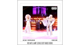 Lady Gaga Ft. Christina Aguilera  - Do What U Want (Red Ant & Amp Lexvas Deep House Remix)