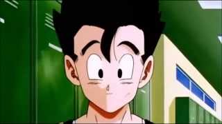 DBZ the best of Videl and Gohan