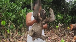 Sloth Selfies Kill (Vlog 54)