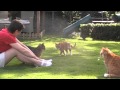 video 11 april 2011 Whoopy video 11 april 2011 Whoopy