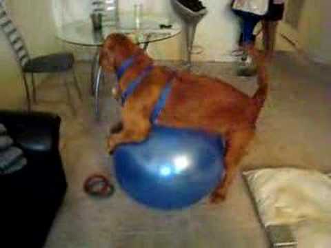 Humping ball