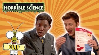 Horrible Science - Charles Richard Drew | Learn About Blood Transfers | Science for Kids