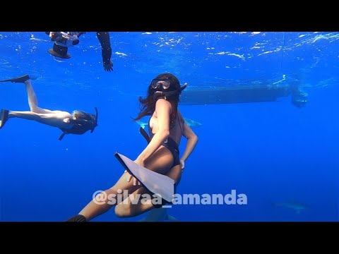 Swimming with Sharks in Oahu Hawai’i