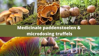 Effecten van medicinale paddenstoelen & microdosing truffels Silvia Hoevenaar en Hidde Schrƶder