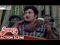 Praja Rajyam Movie || Krishna Superb Action Scene || Krishna, Jayaprada || Shalimarcinema