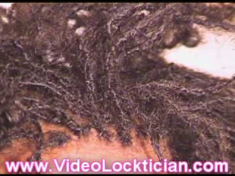 Dreads, Dreadlocks, SisterLocks, Interlocking Tool Dreads, Dreadlocks, SisterLocks, Interlocking Tool