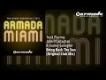 Video Armada The Miami Essentials 2011