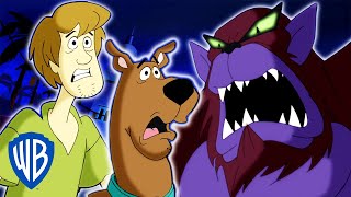 Scooby-Doo How To Catch El Chupacabra Wb Kids
