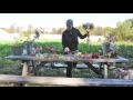 How to Build a Bouquet