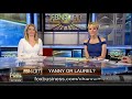 ‘Laurel’ or ‘Yanny’? Audio clip spurring debate about name