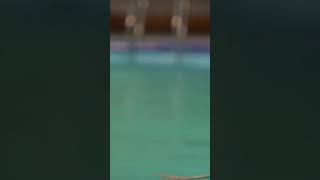 Vikrant Meets Purva Yeh Kaali Kaali Ankhein