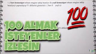 10.Sınıf Biyoloji 2.Dönem 1.Yazılı