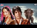 माँ Movie Maa - Full Movie | Dharmendra | Hema Malini | Ajit | Nirupa Roy | Ranjeet. 1080p HD