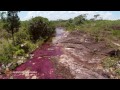 Cano Cristales Rio el mas hermoso del planeta - Sierra la Macarena Colombia desde el Aire con Drone