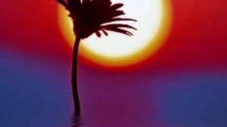 Watch Cocteau Twins Fotzepolitic video