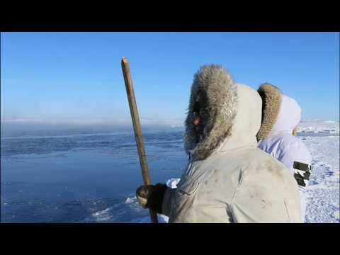 Geo For Good 2019 Partner: The #Indigenous Knowledge Social Network with Arctic Eider’s Joel Heath